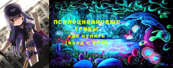 экстази Россошь