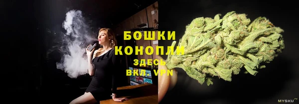 дживик Балахна