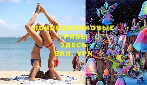 спиды Белокуриха