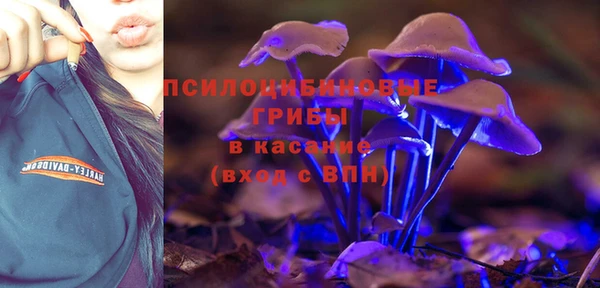 дживик Балахна